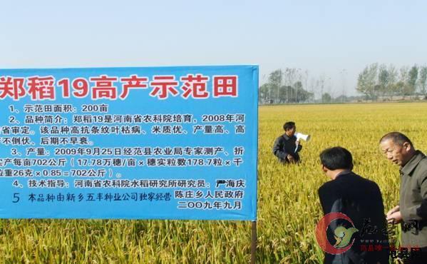 陈庄乡举办水稻种植观摩会