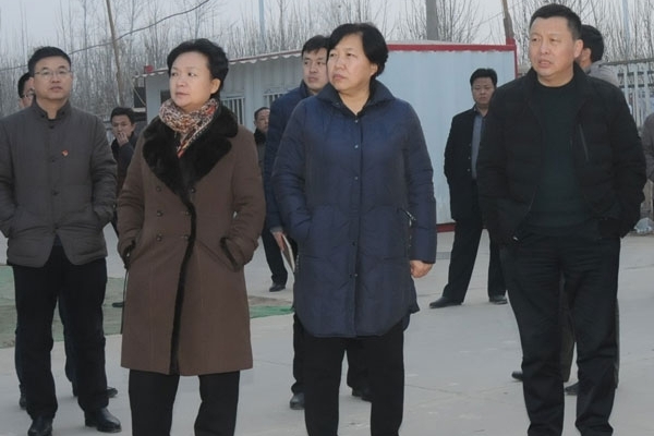 县长赵丽玲到张庄乡进行调研