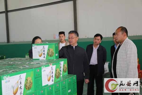 县委书记王秋芳调研我县大米生产企业