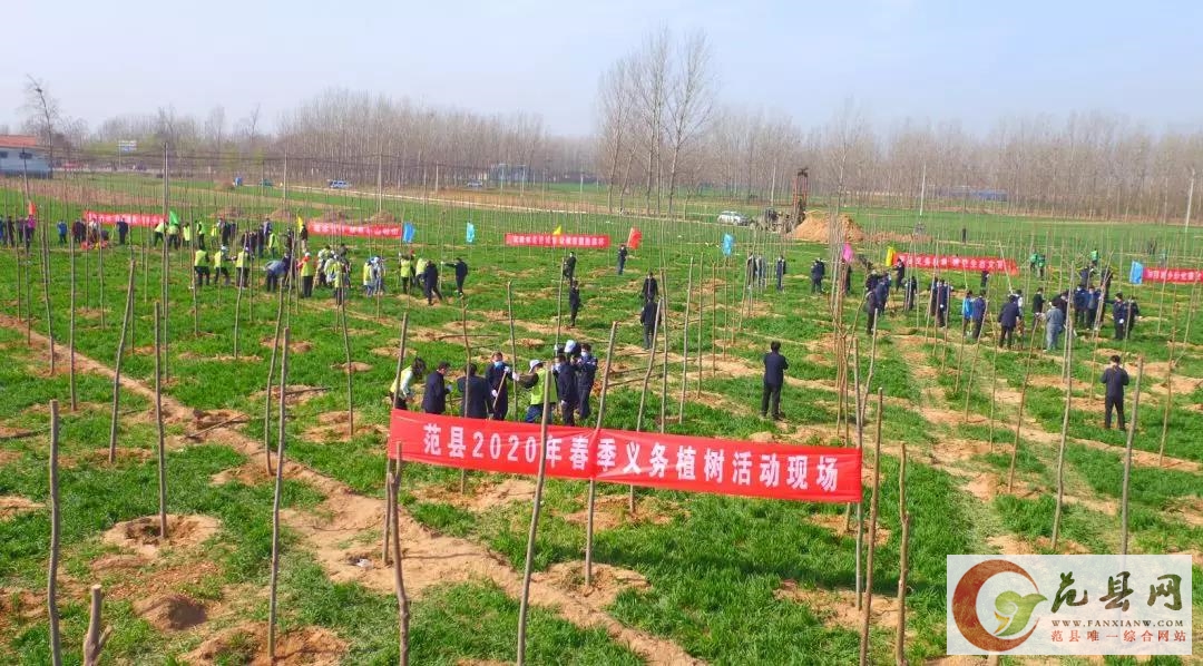 范县开展春季义务植树活动！一万余名干群共栽种树木3万余株，…