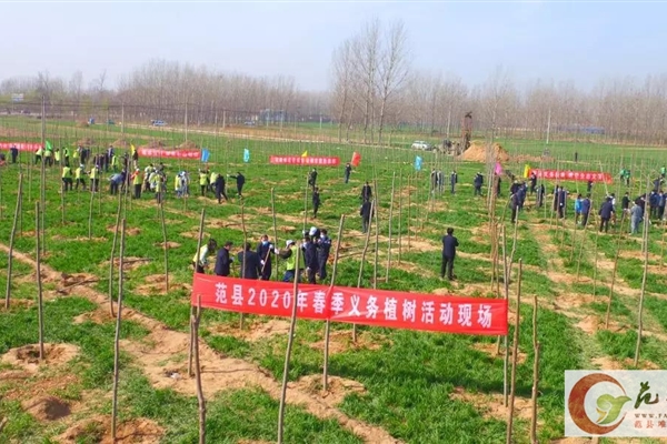 范县开展春季义务植树活动！一万余名干群共栽种树木3万余株，面积达600余亩！