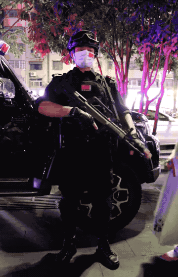 11111.gif