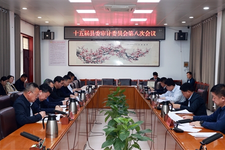 范县县委书记王小鹏主持召开十五届县委审计委员会第八次会议