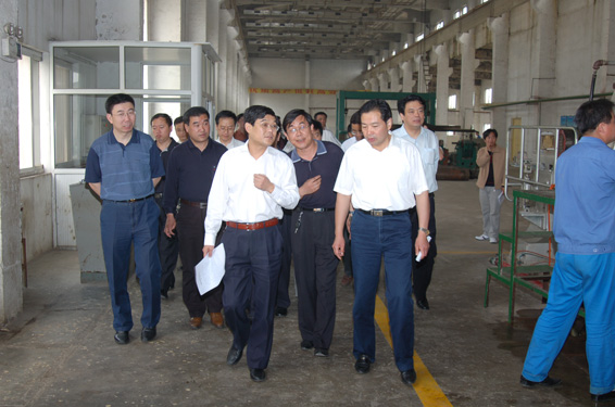 市委常委,常务副市长王海鹰来我县调研2008年重点项目
