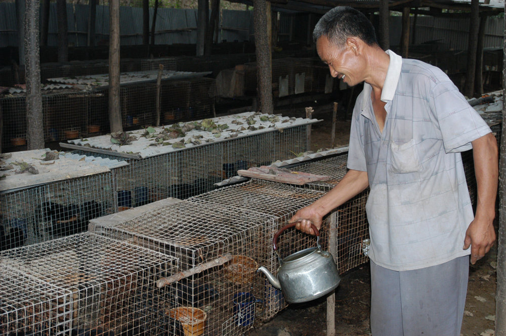 农民致富