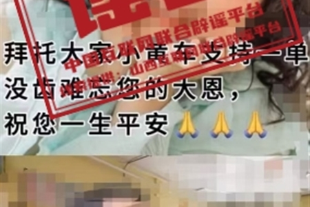 今日辟谣（2024年11月1日）