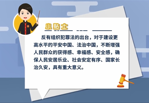 一图读懂《反有组织犯罪法》